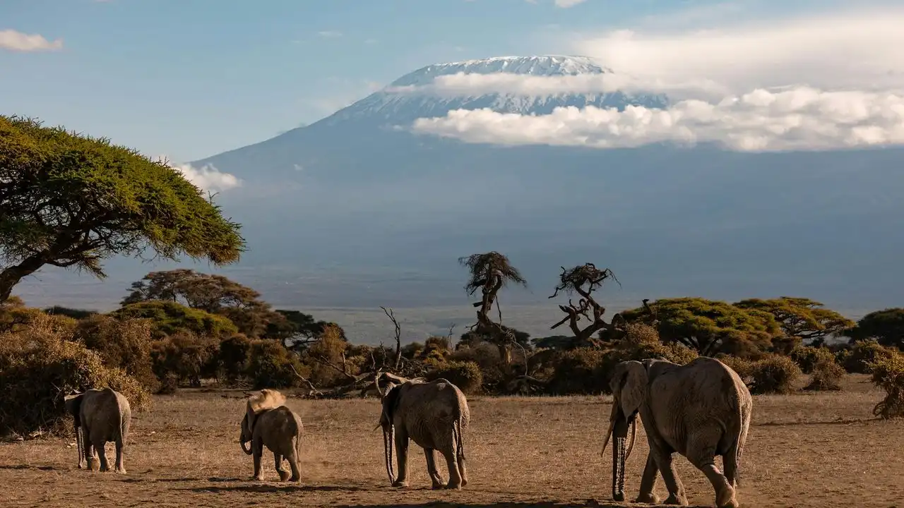 The Best Apps To Learn Swahili Ranked And Reviewed