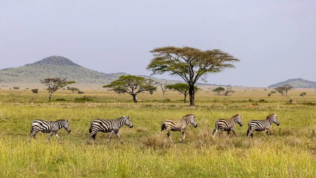 Creating A Consistent Routine Is The Most Reliable Way To Learn Swahili From Scratch