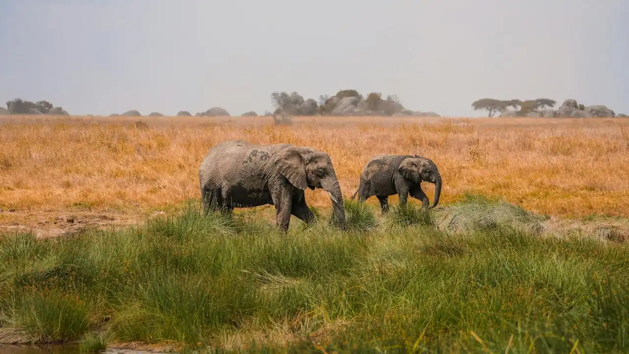 How Long Does It Take To Learn Swahili?