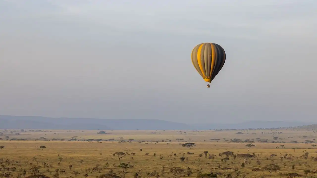 Kenyan And Tanzanian Swahili Have Distinct Differences