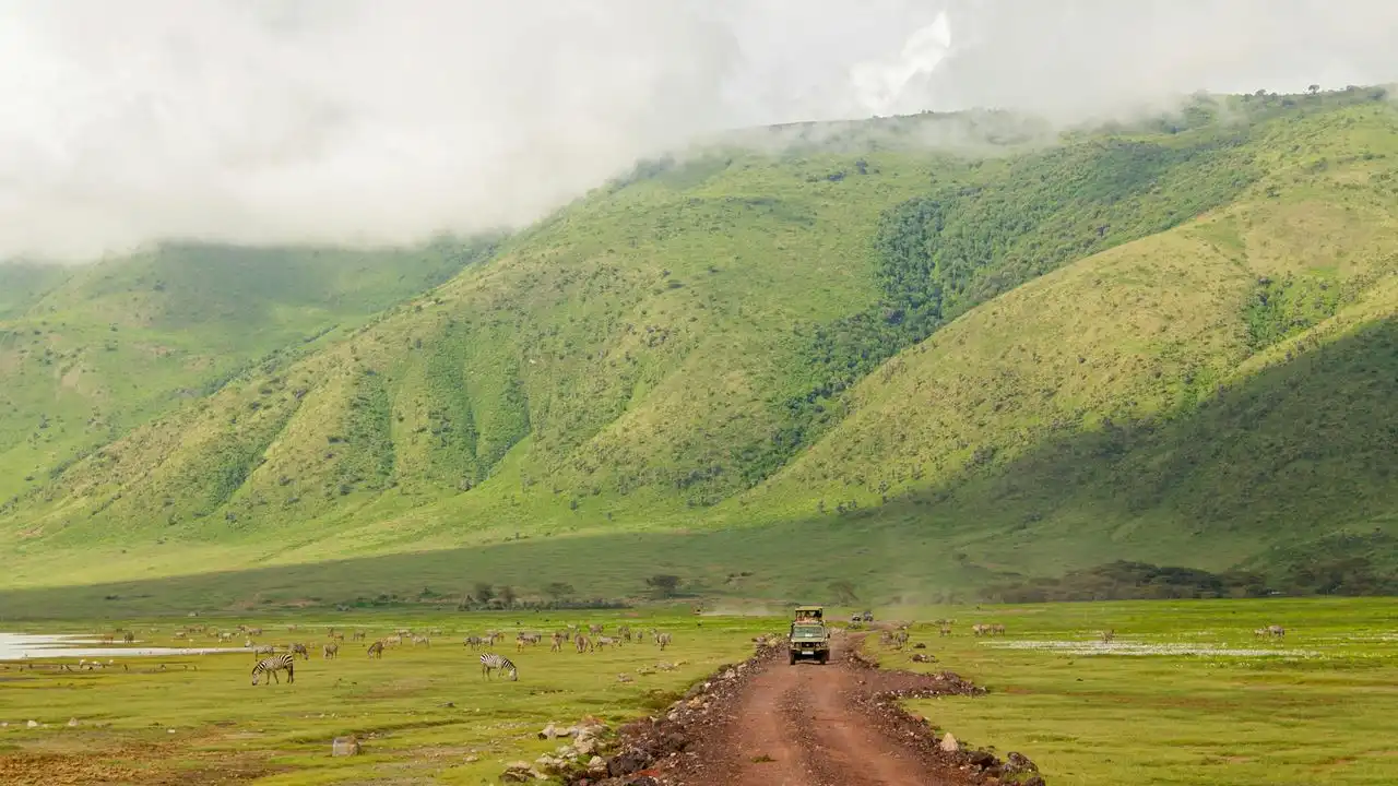 Pimsleur Swahili Course Review: Pros, Cons, And Verdict